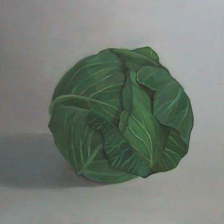 Cabbage IV (12″ x 12″) oil on panel 2007