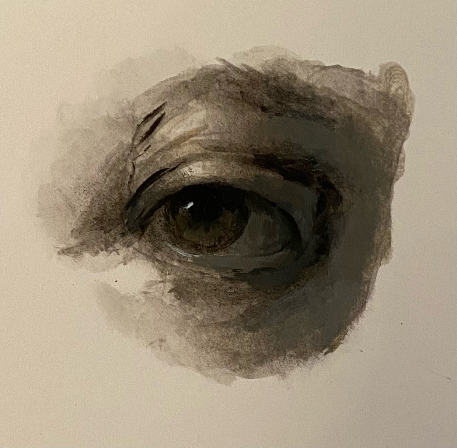 Eye – 5